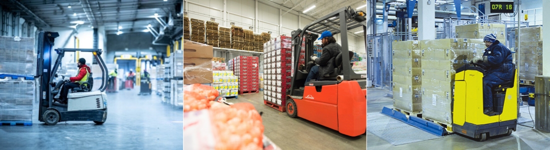 Forklift Line Lights for Cold Storage Warehouse Forklift Line Lights for Cold Storage Warehouse