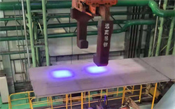 Blue Crane Safety Spotlight