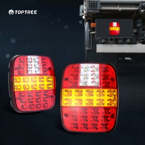 DM_20251112152841_001