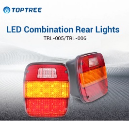 DM_20251112152841_010