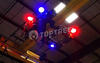 overhead crane warning light
