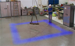 Blue Crane Zone Light