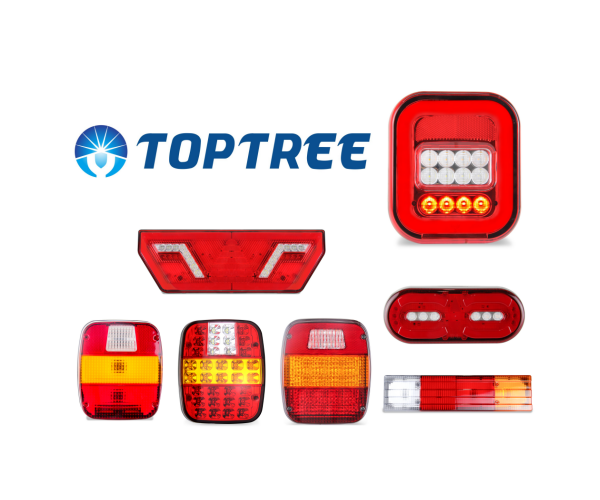 DM_20251113092555_001