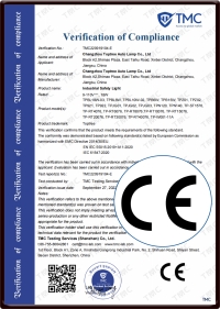 Laser Walkway Certification