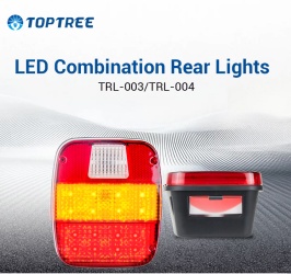 DM_20251112152841_009