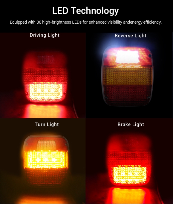 incandescent taillight
